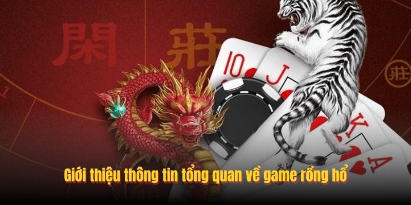 Mẹo chơi Rồng Hổ