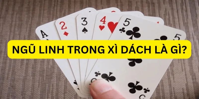                                                 Ngũ linh Xì dách là gì?